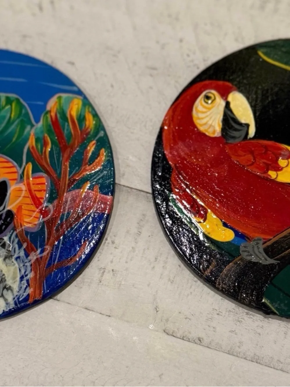 Pair of Colorful Hand Painted 5” Parrot and Fish Animal Coasters